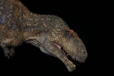 SHOWANNA 1/18 SCALE MAPUSAURUS SCENE STATUE