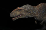 SHOWANNA 1/18 SCALE MAPUSAURUS SCENE STATUE