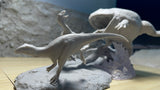Sensen 1:5 Scale Beelzebufo Masiakasaurus Scene Statue