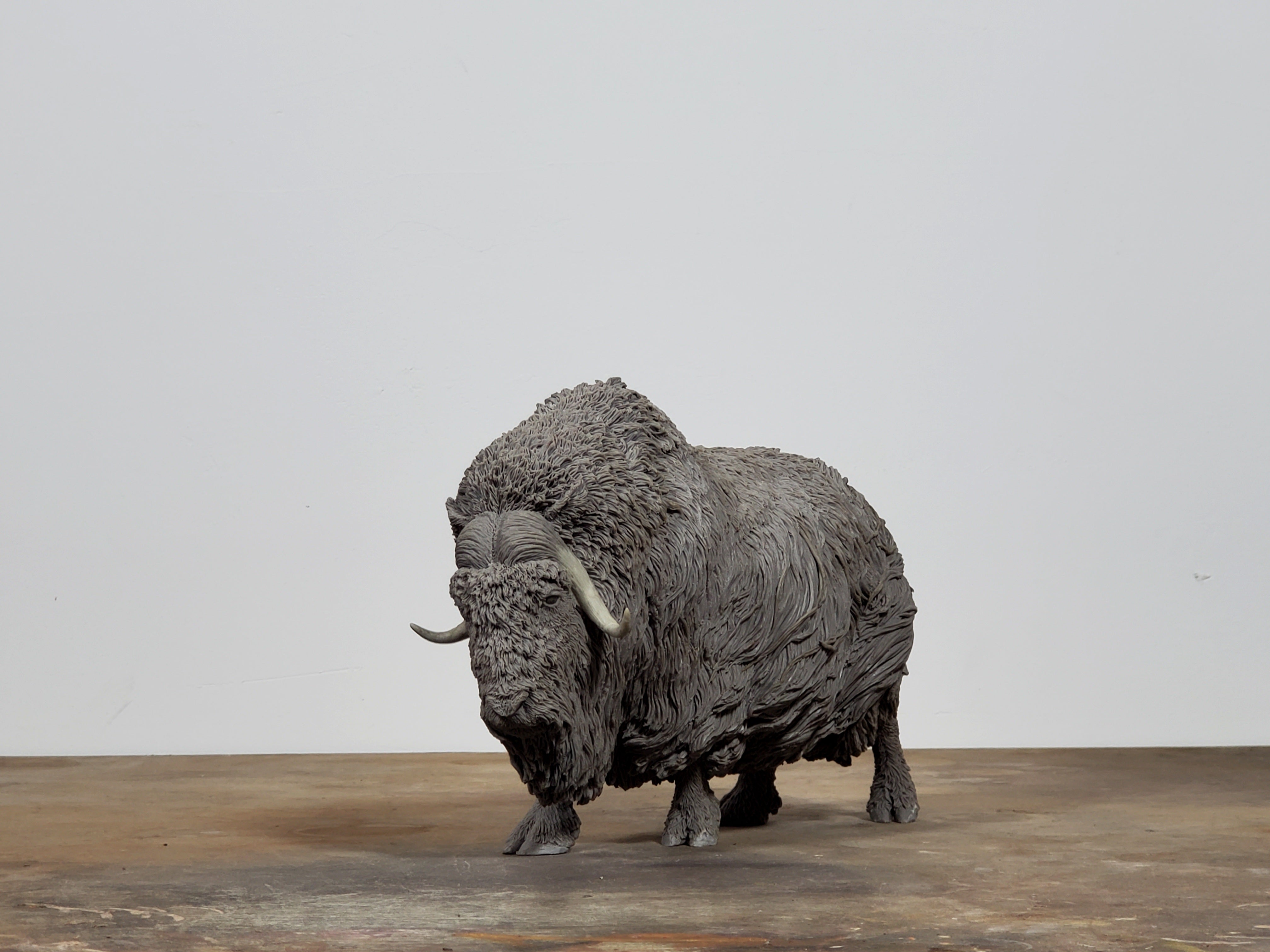 TUNAN Studio 1/10 Scale Muskox Model