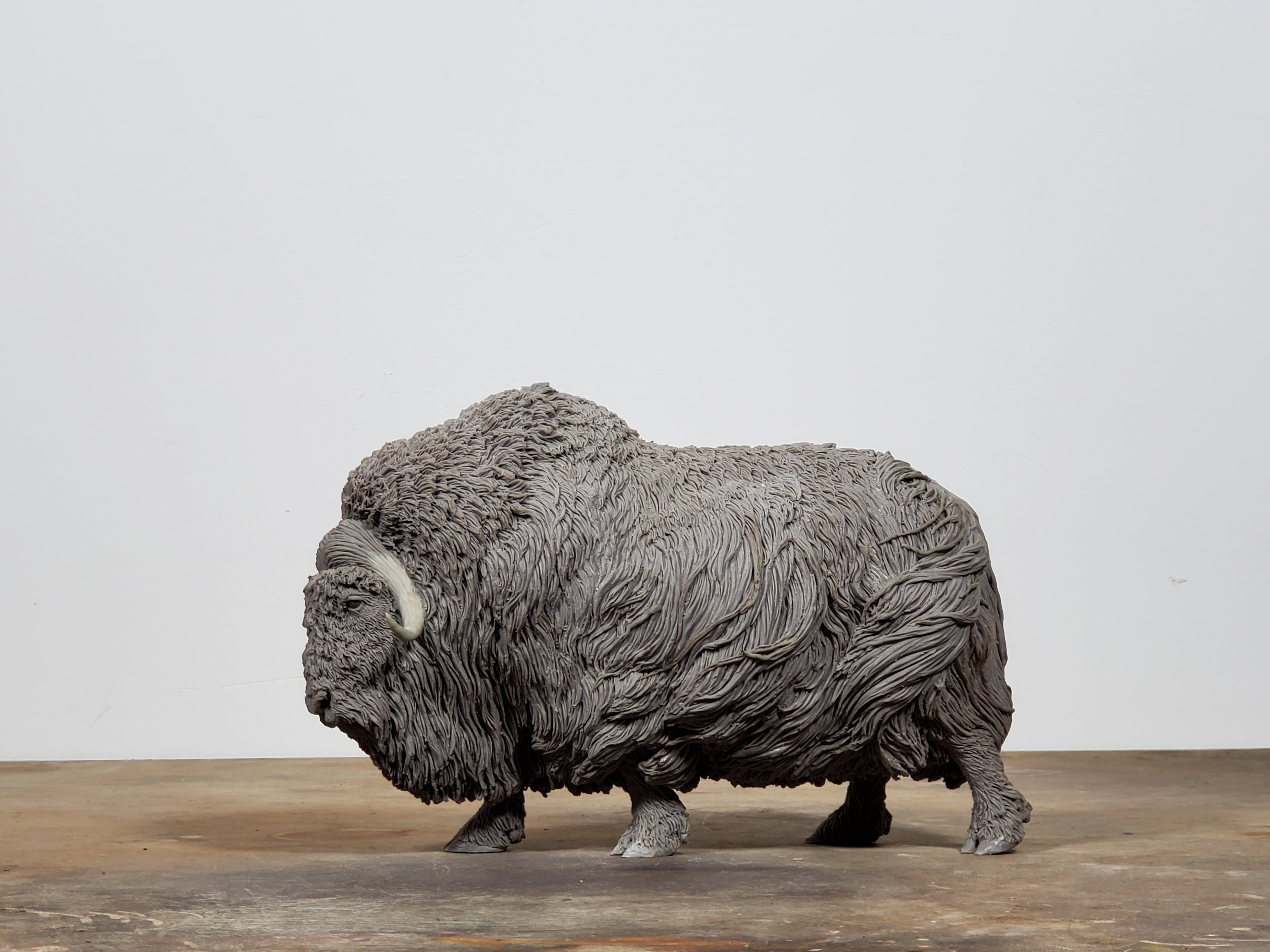 TUNAN Studio 1/10 Scale Muskox Model