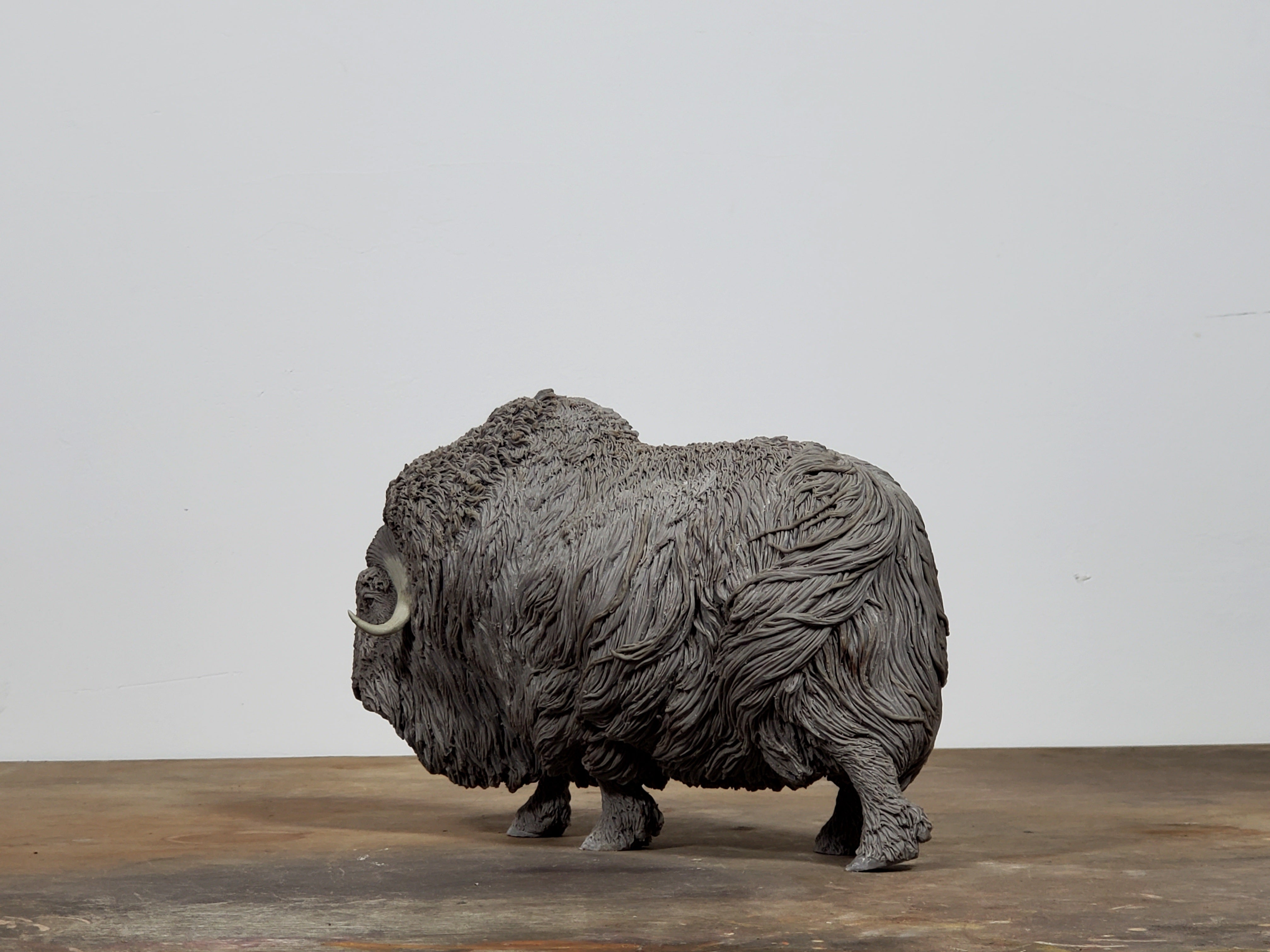 TUNAN Studio 1/10 Scale Muskox Model