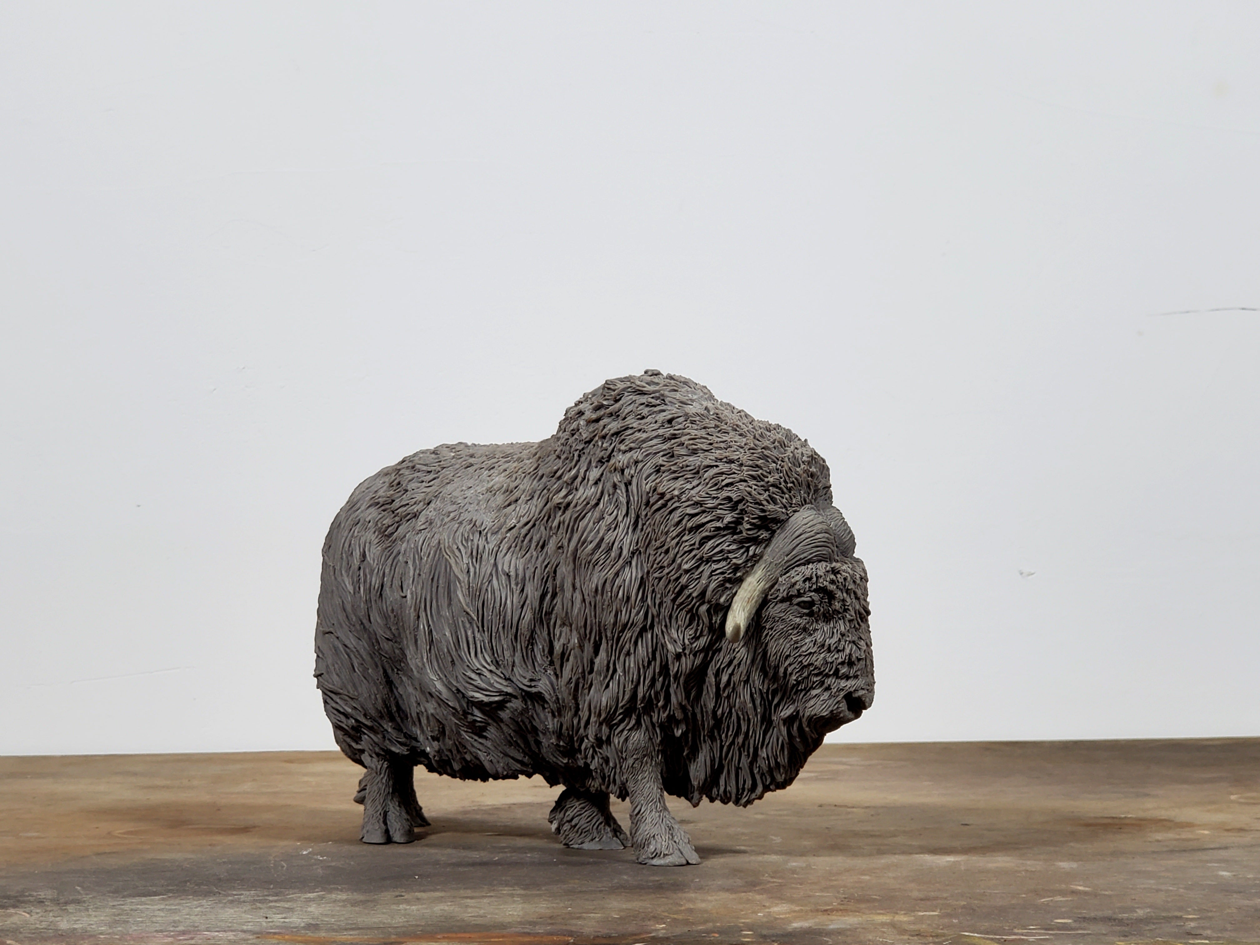 TUNAN Studio 1/10 Scale Muskox Model