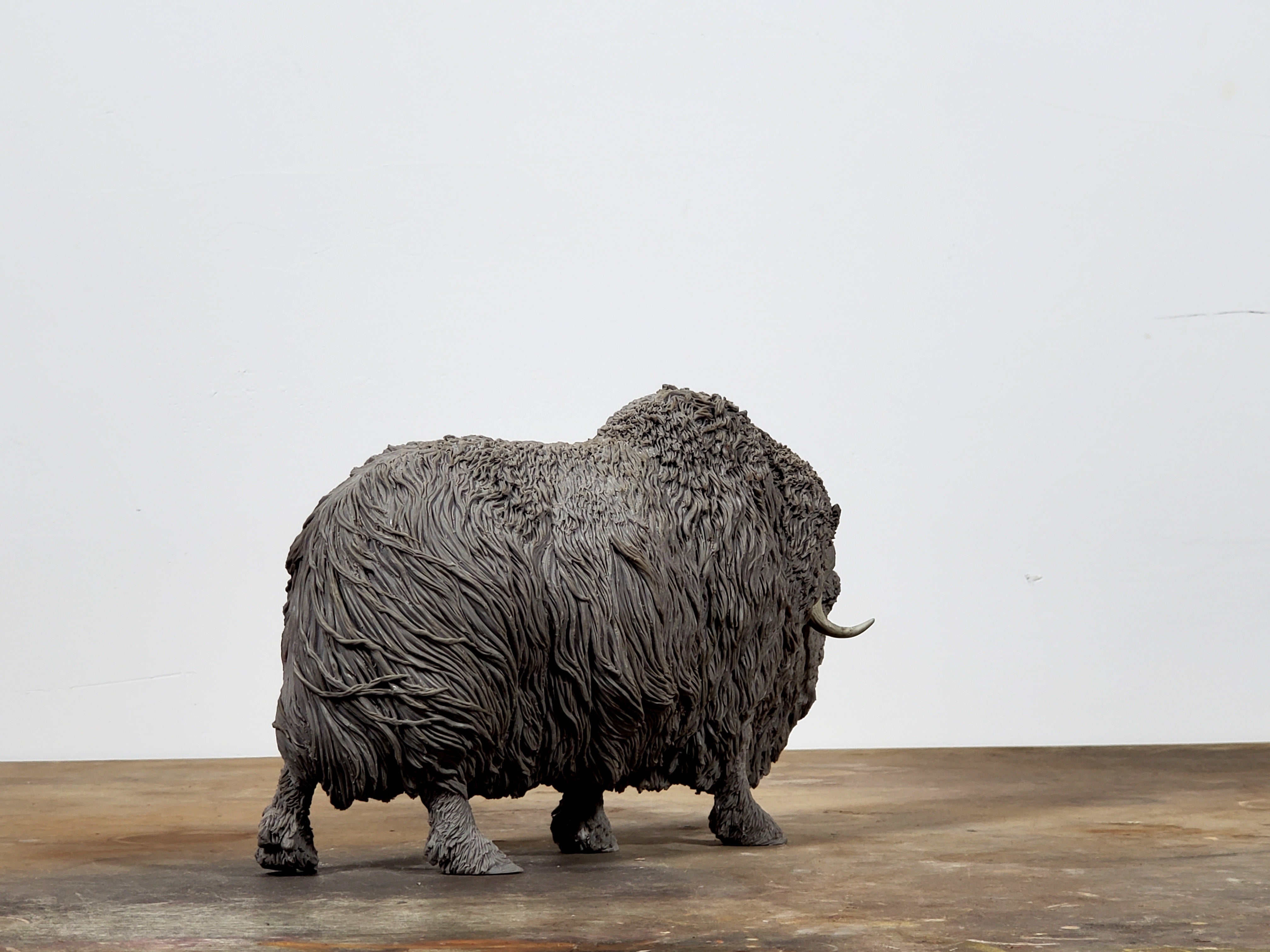 TUNAN Studio 1/10 Scale Muskox Model