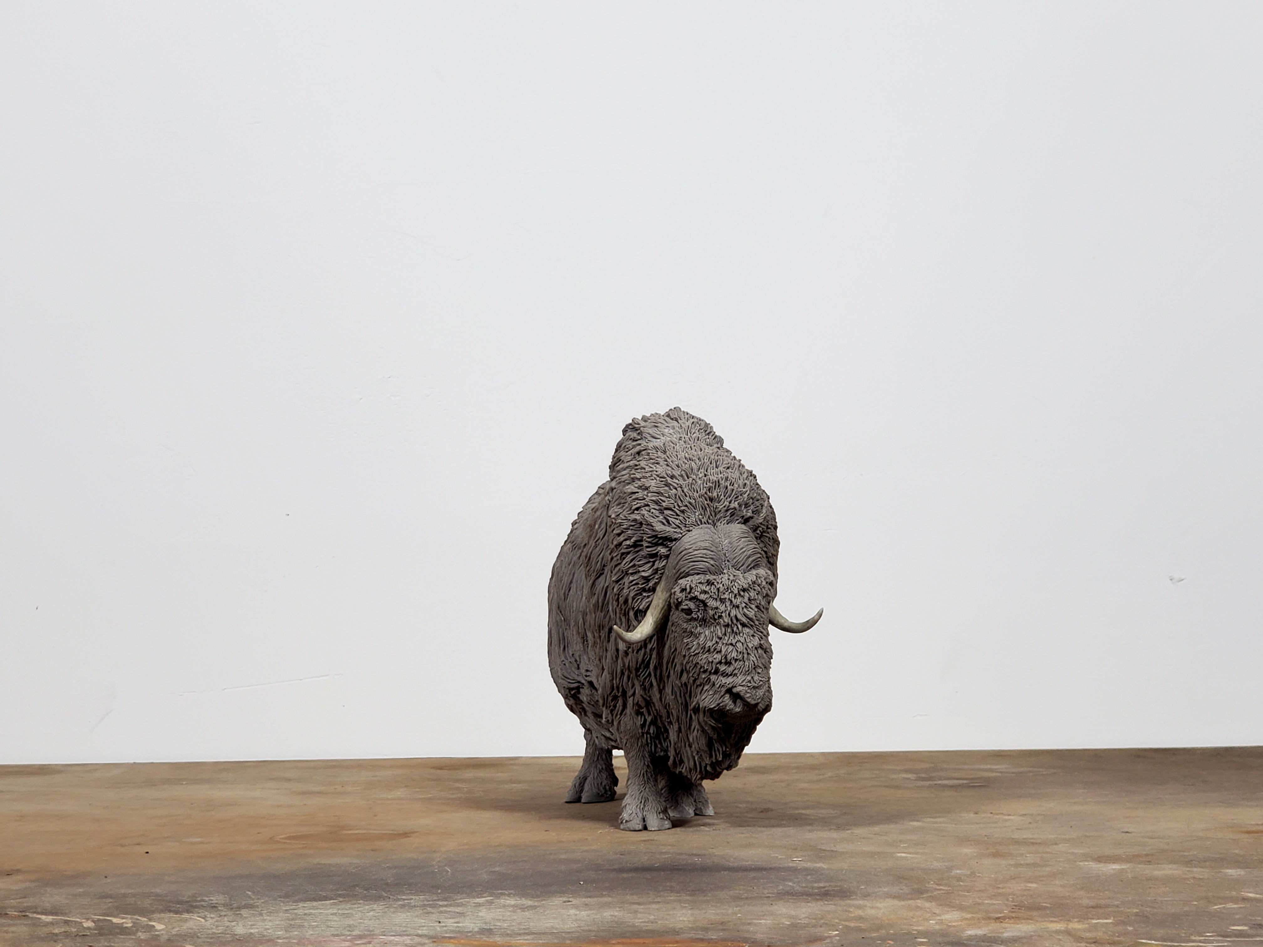 TUNAN Studio 1/10 Scale Muskox Model