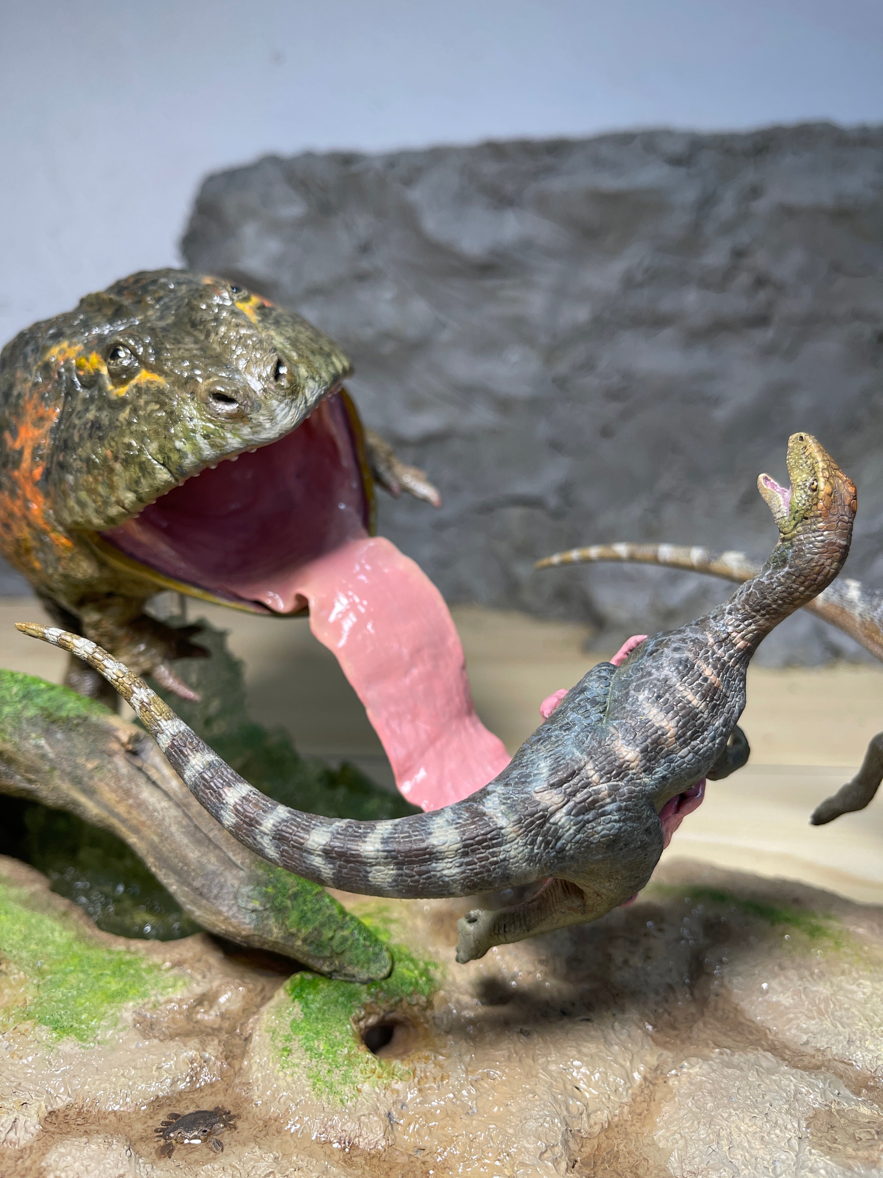 Sensen 1:5 Scale Beelzebufo Masiakasaurus Scene Statue