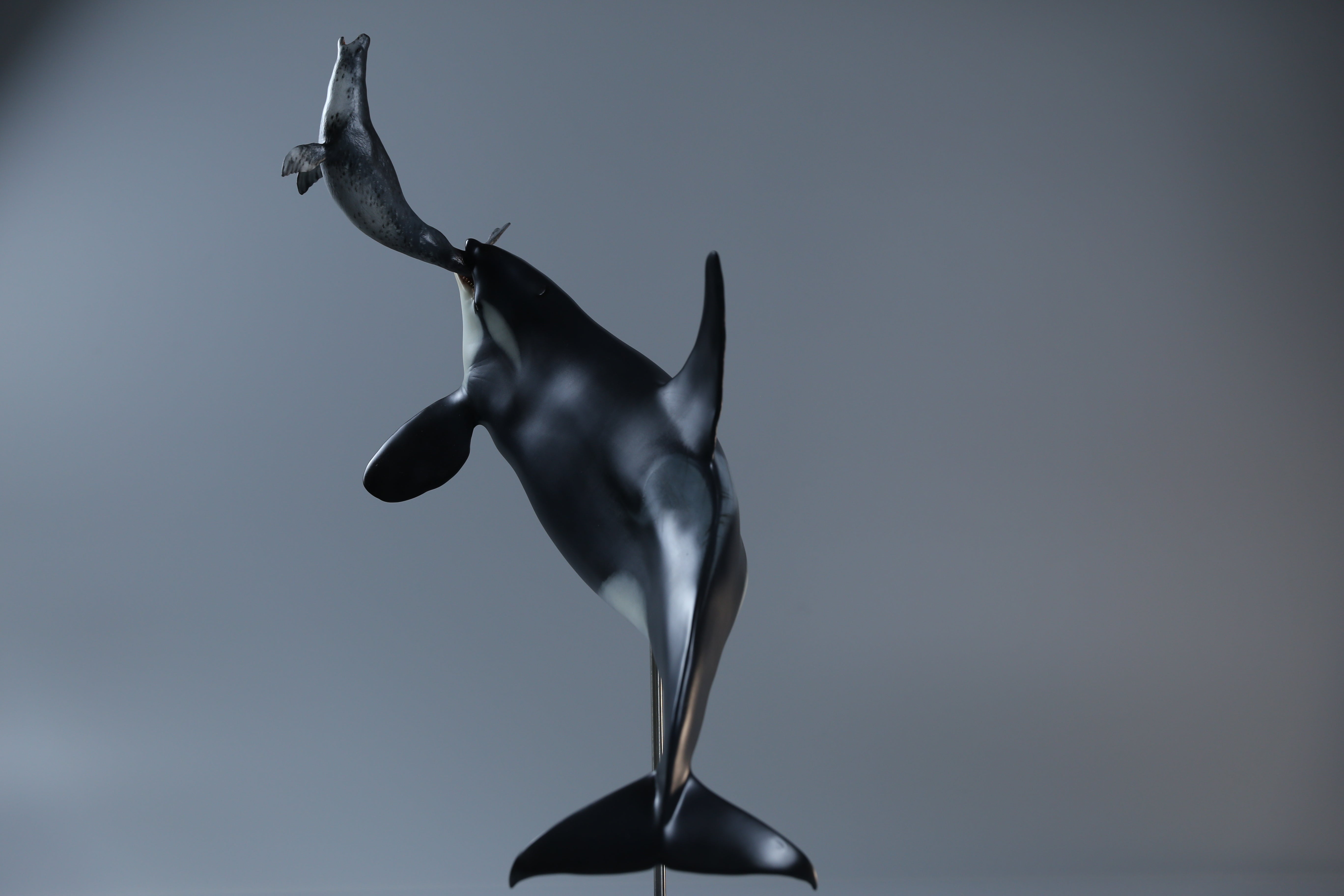 Memory Museum 1/15 Killer Whale Statue