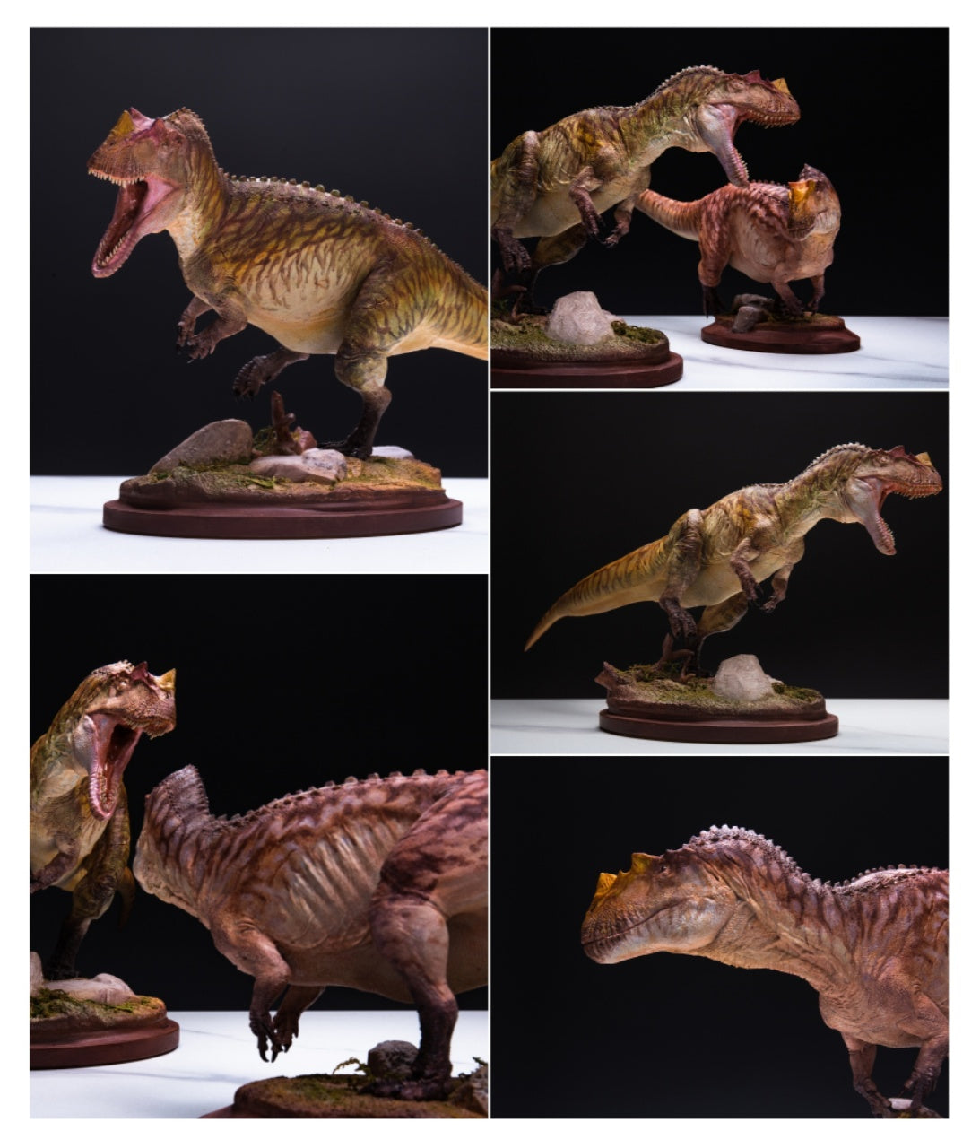 HPH Studio 1:18 Scale Ceratosaurus dentisulcatus Couple Scene Model Kit