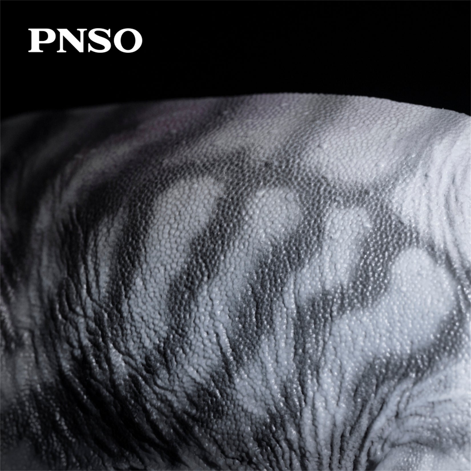PNSO Meraxes Mungo Model