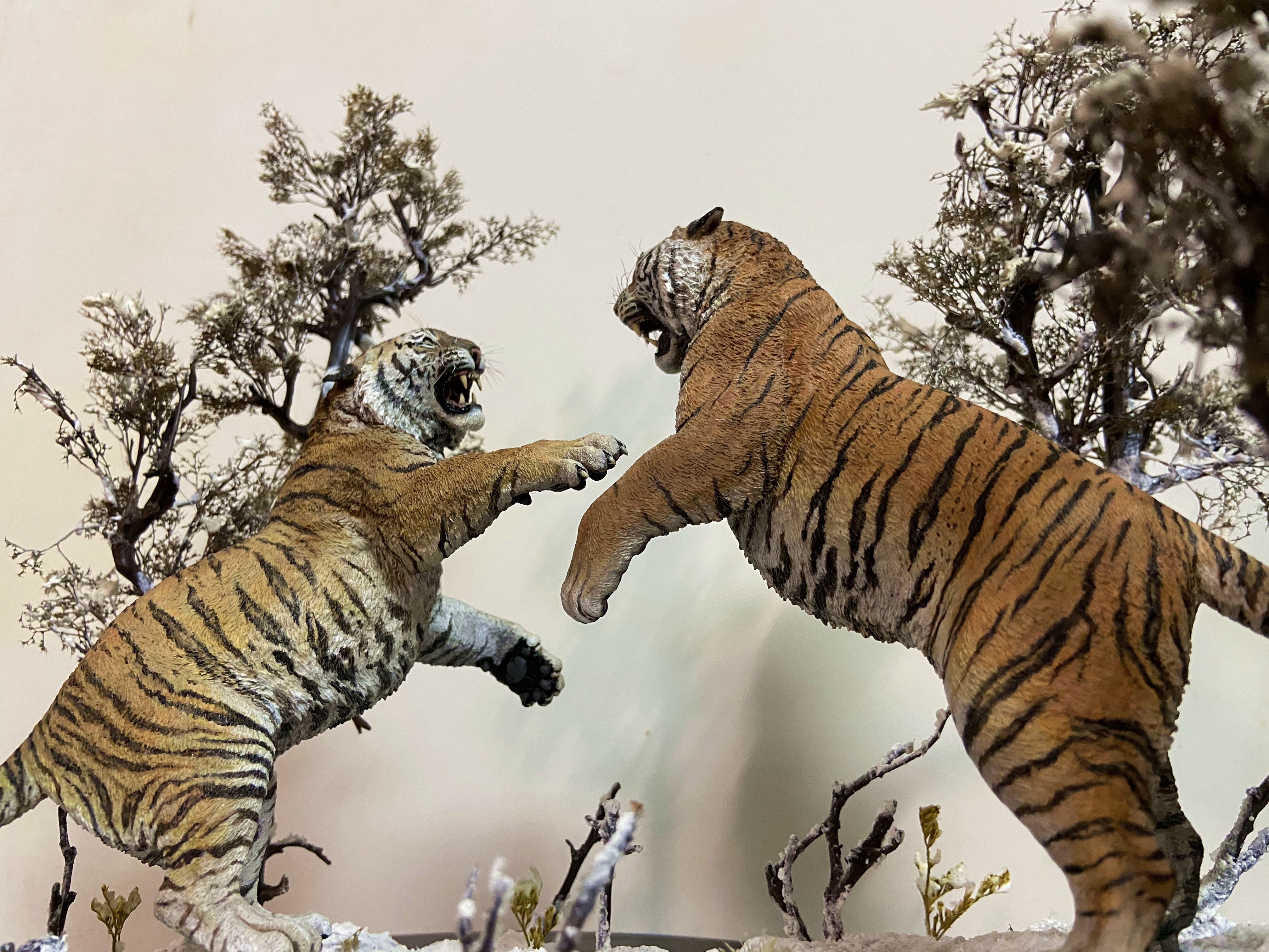 The Battle of Siberia Siberian Tiger Scene Model