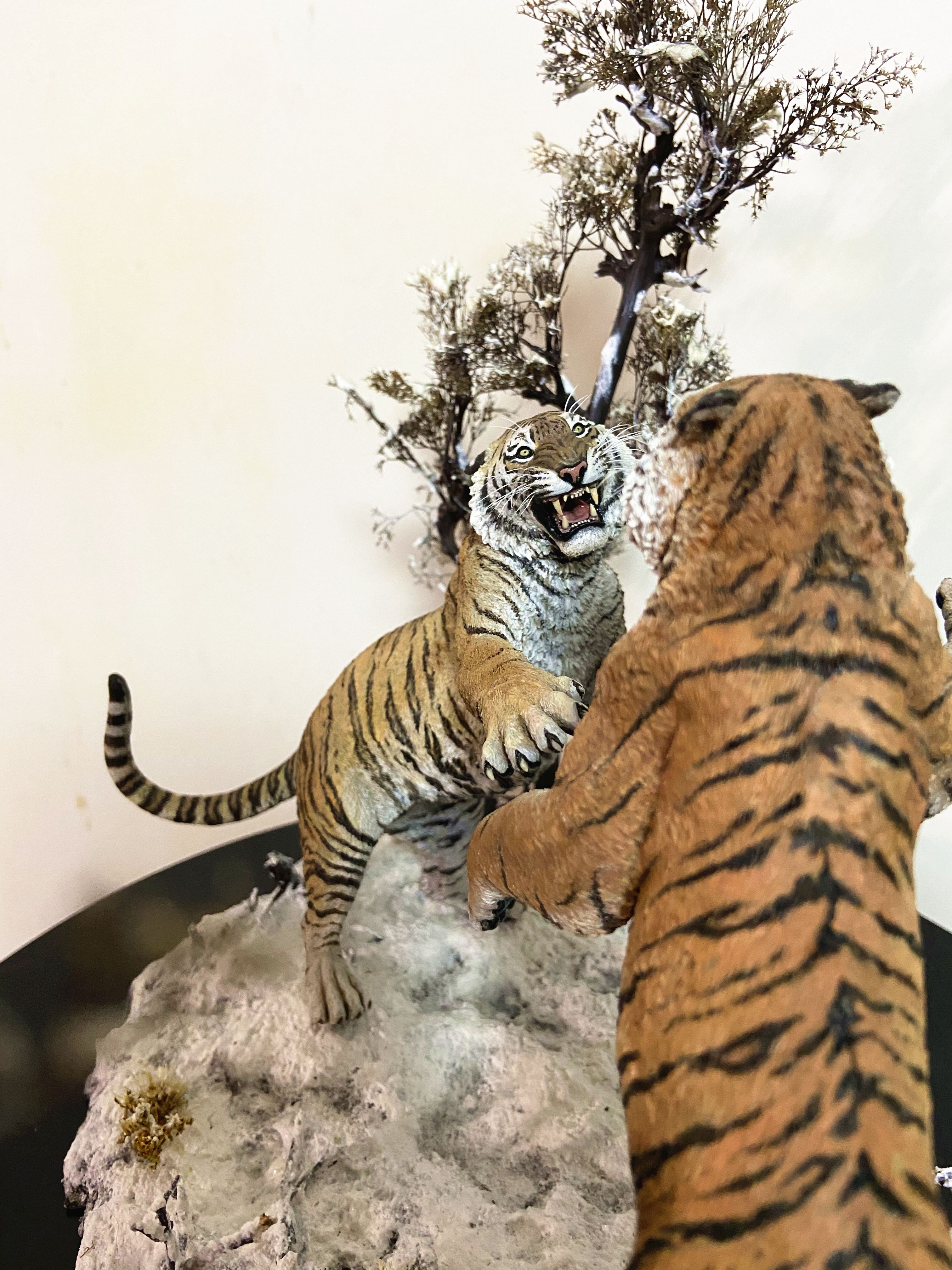 The Battle of Siberia Siberian Tiger Scene Model