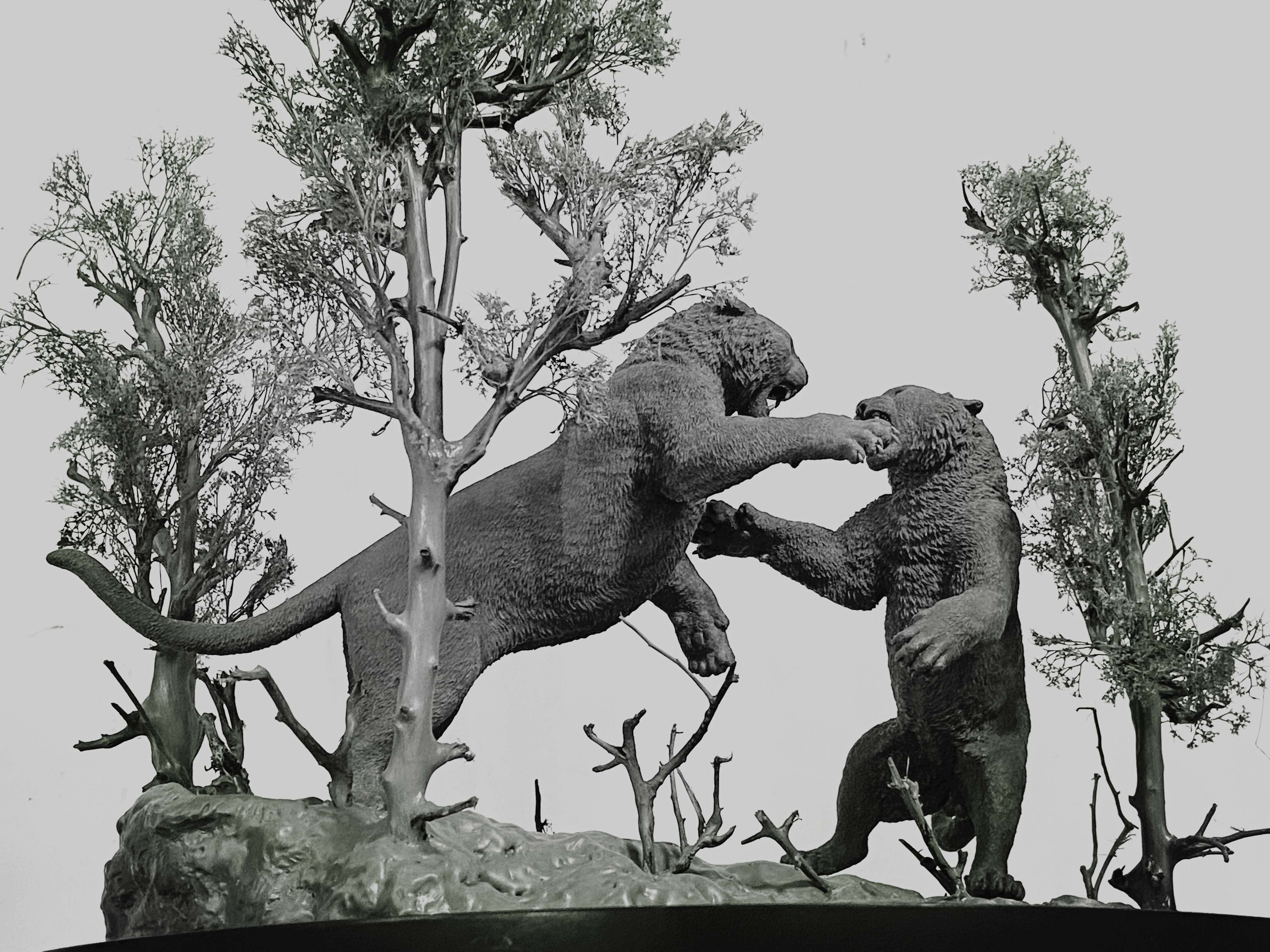 The Battle of Siberia Siberian Tiger Scene Model