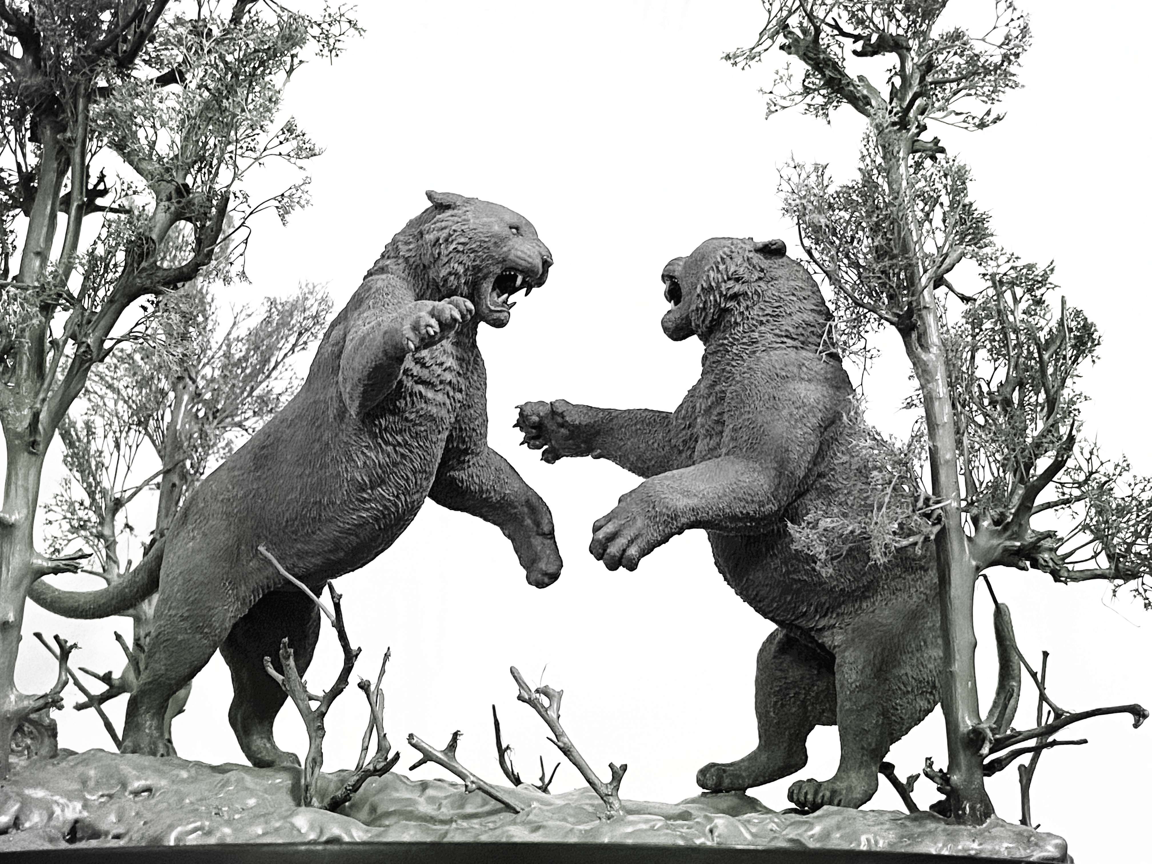 The Battle of Siberia Siberian Tiger Scene Model