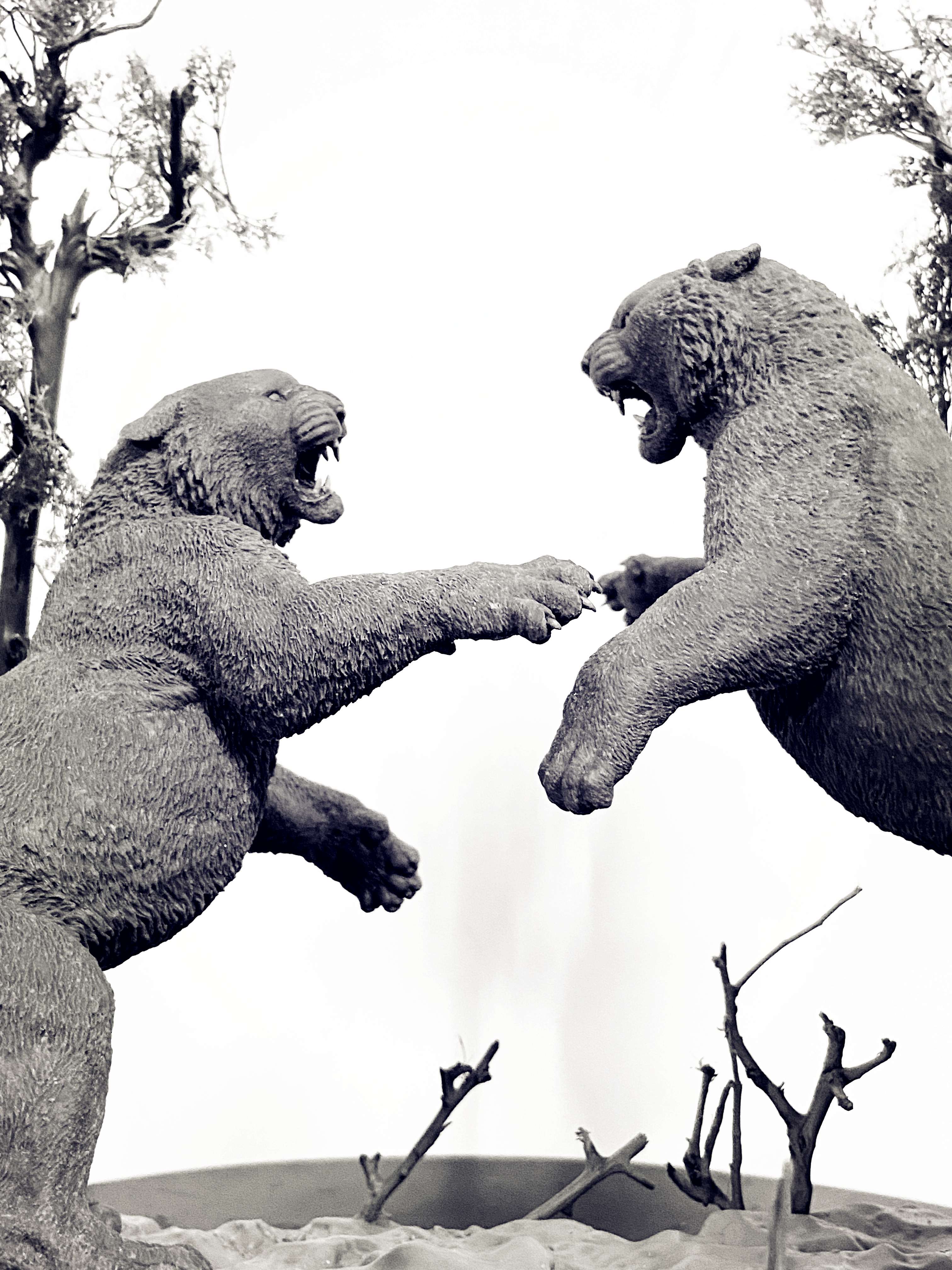 The Battle of Siberia Siberian Tiger Scene Model