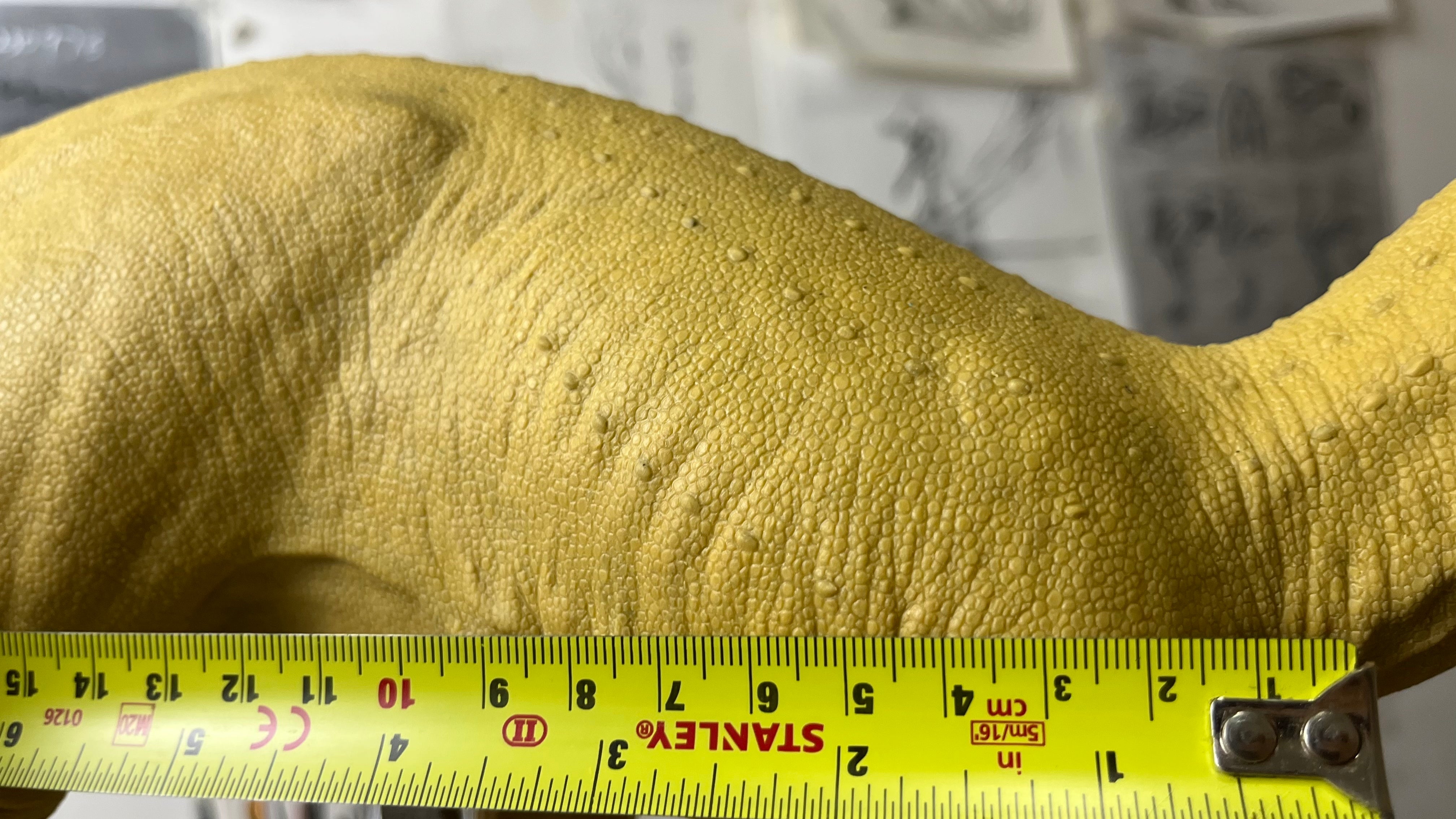 1:15 Scale Maip macrothorax Scene Model