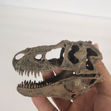 Tyrannosaurus Skull Model