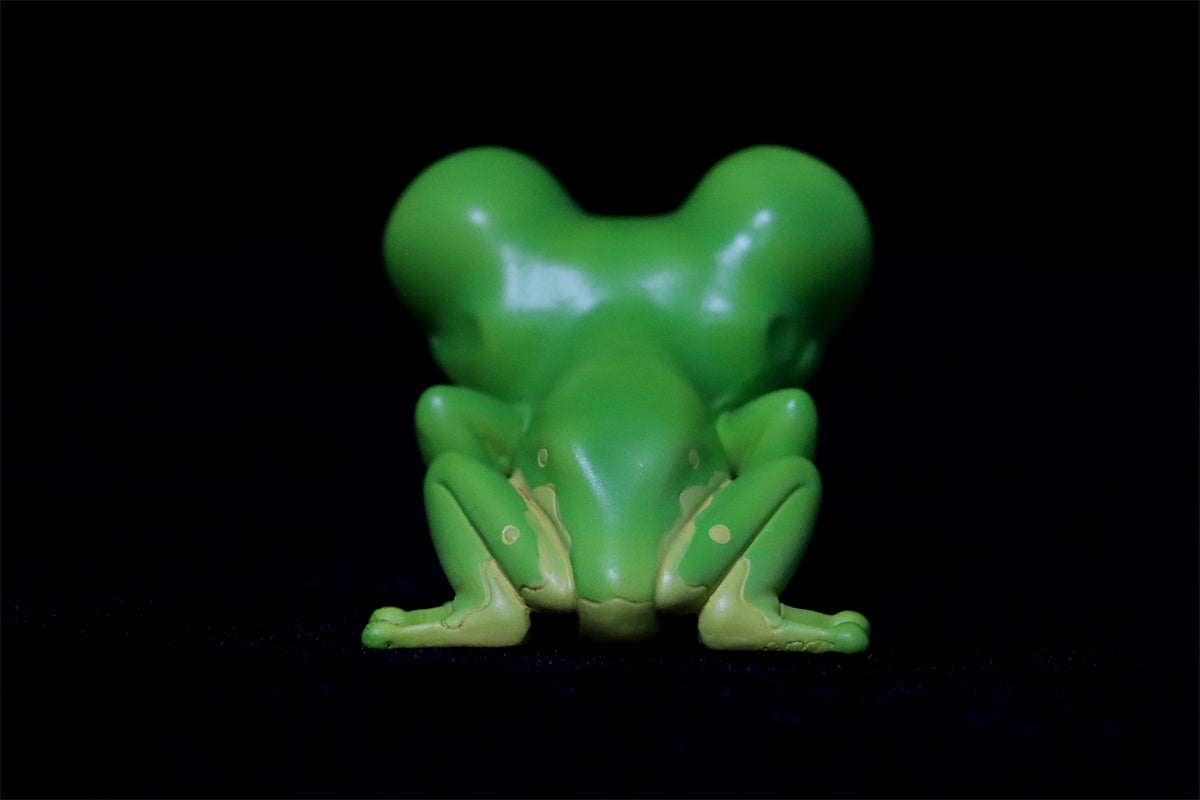 Frog Planet Series 2 Blind Box Model