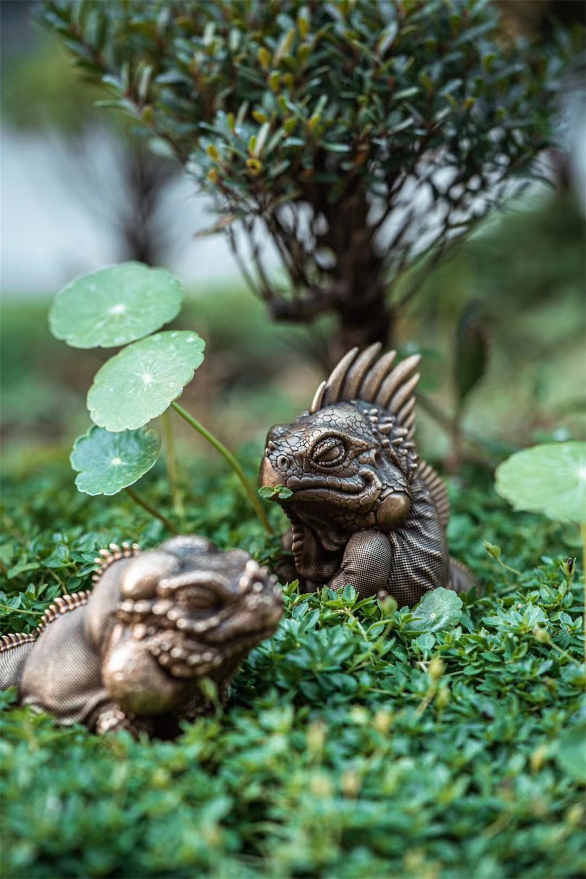 Common Green Iguana Limited Brass Model