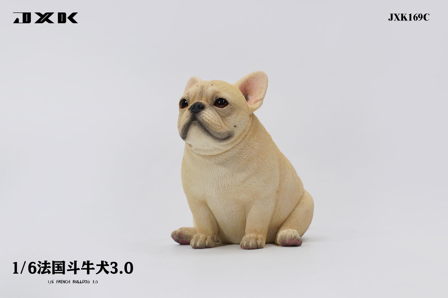JXK 1/6 French Bulldog 3.0 Model