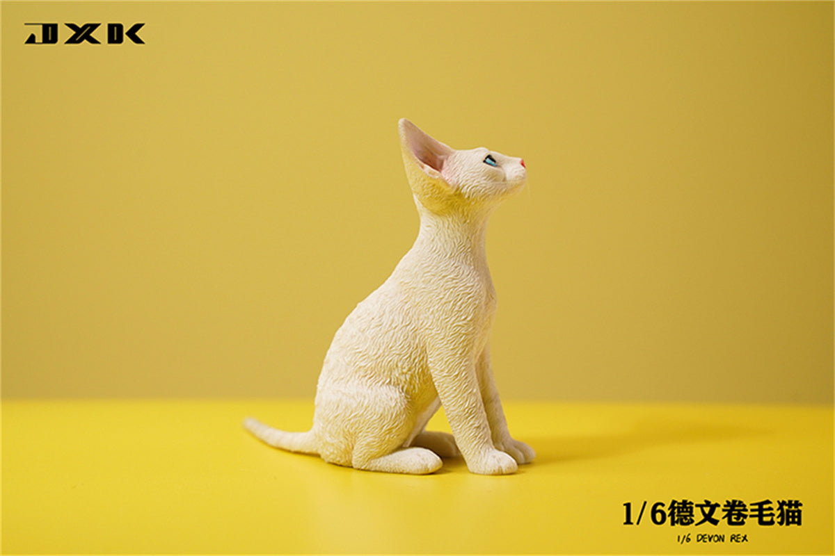 JXK 1/6 Devon Rex Model