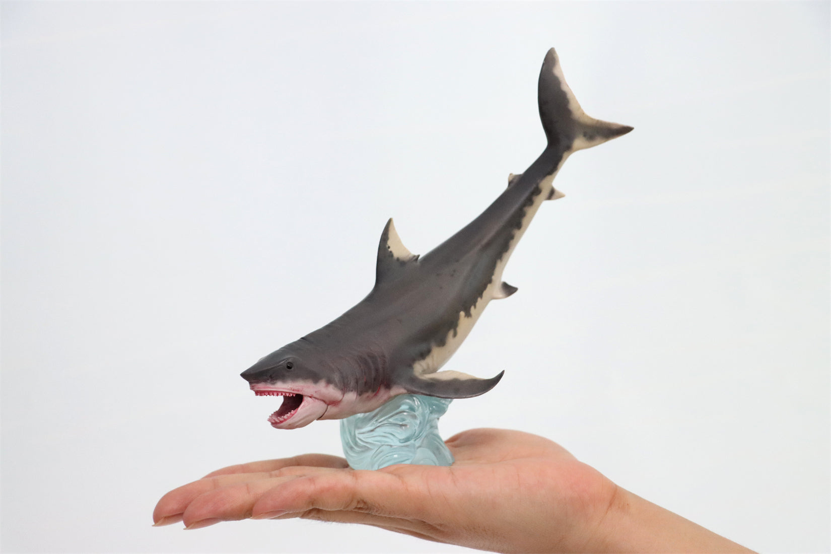 HAOLONGGOOD Megalodon Model