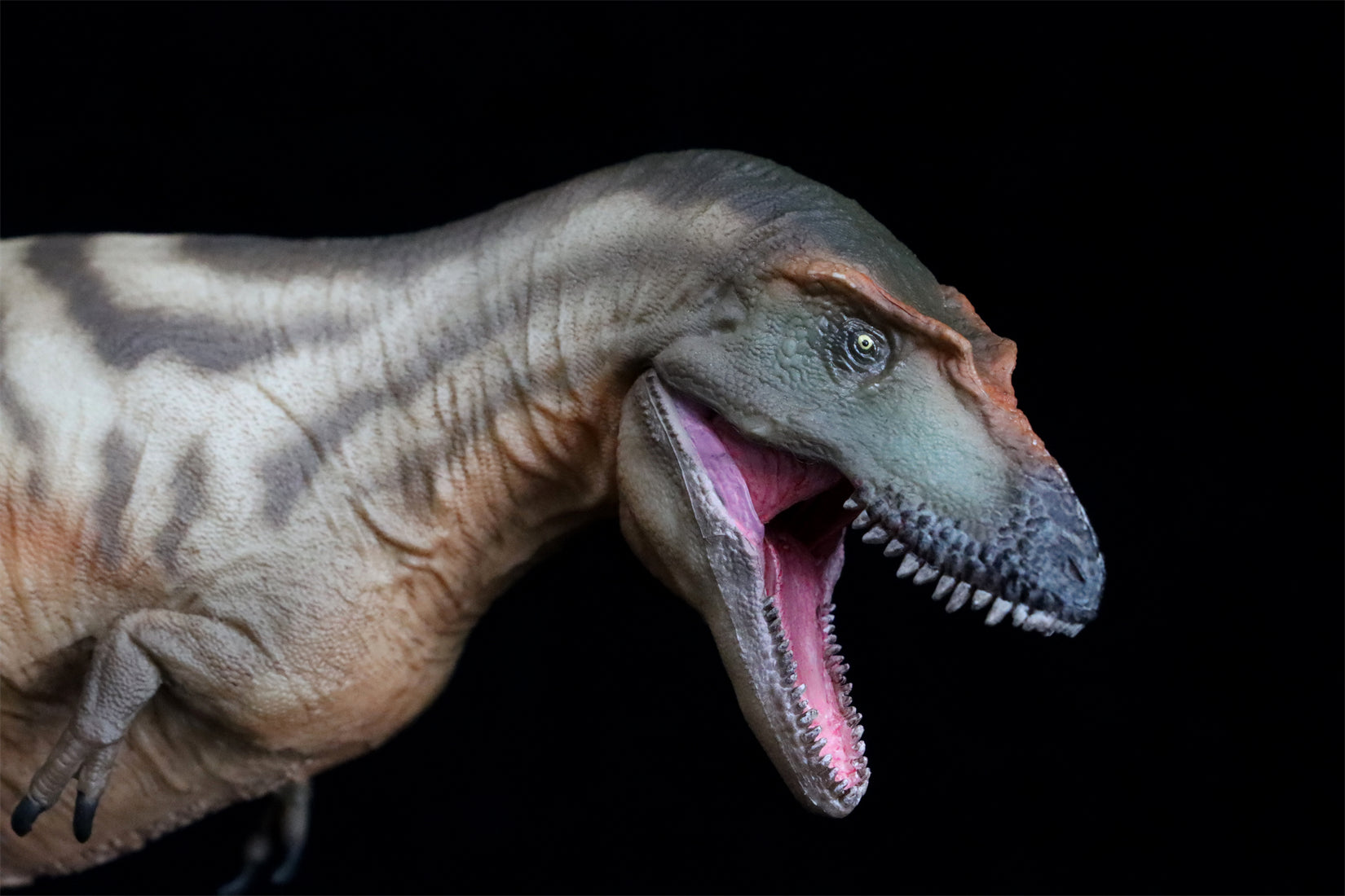 PNSO Gorgosaurus Tristan Model