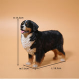 JXK 1/6 Bernese Mountain Dog Model