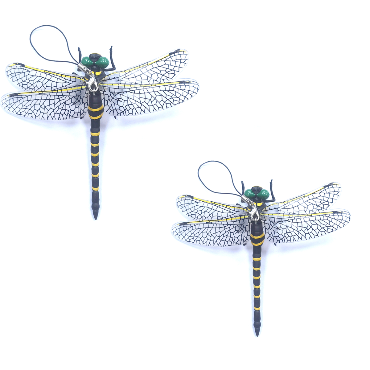 Anotogaster Dragonfly Model