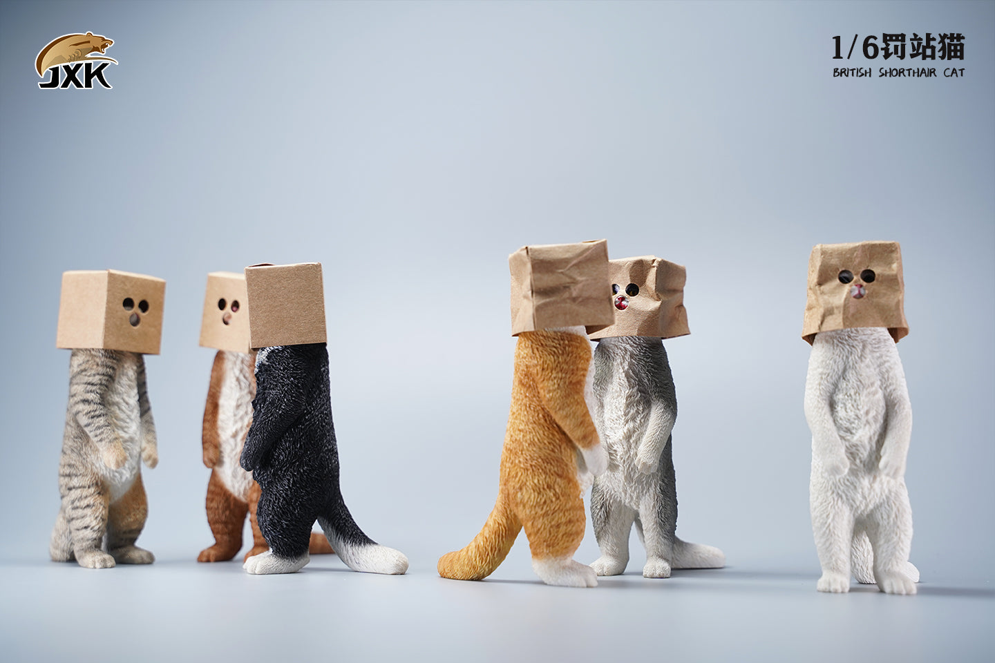 JXK 1/6 British Shorthair Cat