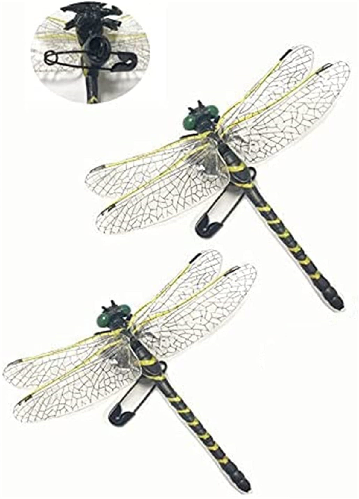 Anotogaster Dragonfly Model