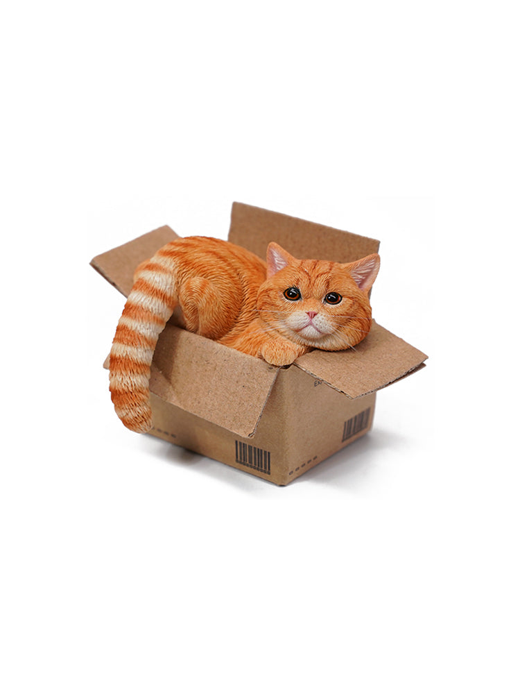 JXK Small The Cat In The Delivery Box 3.0 Model