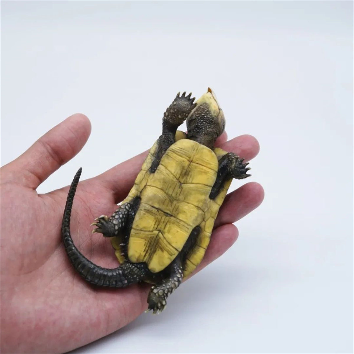 1:1 Big-headed Turtle Statue