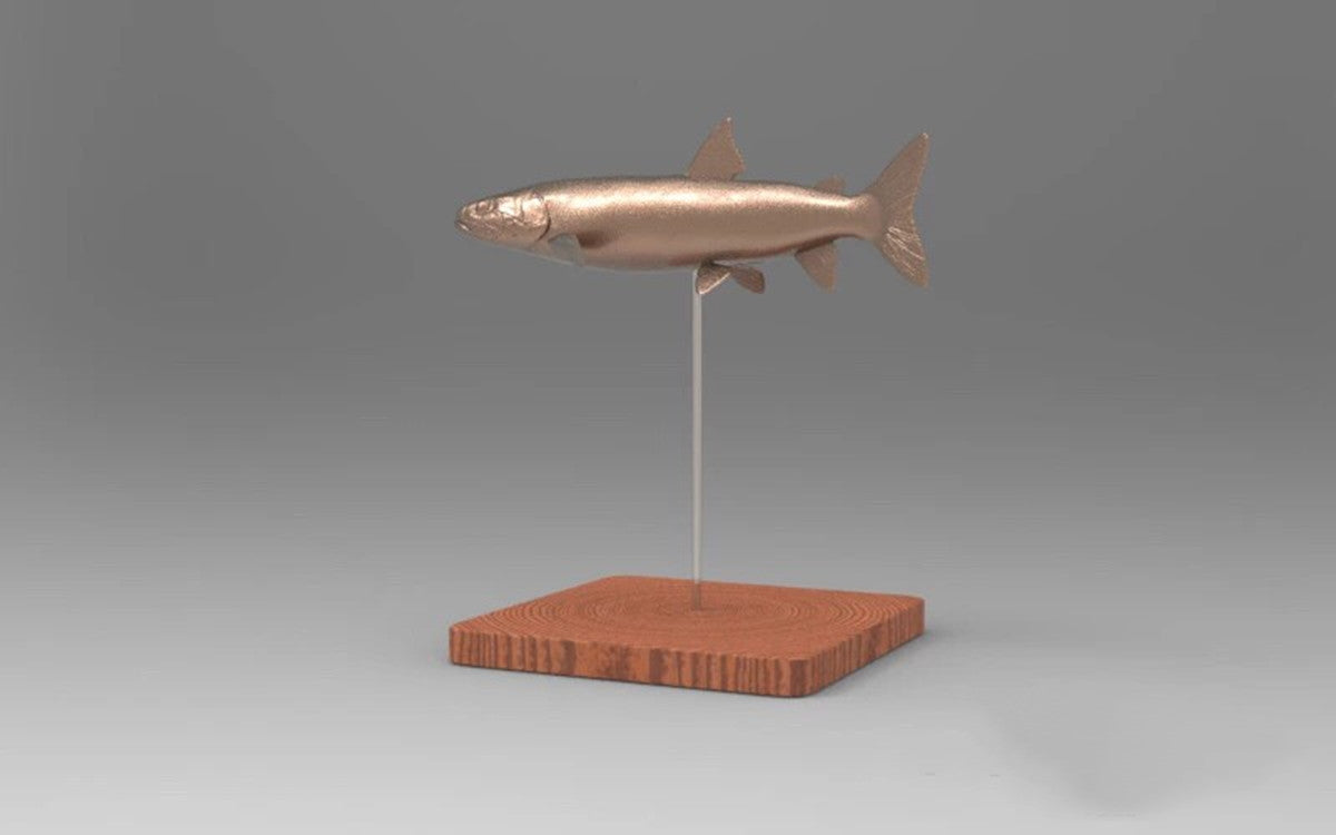 1/35 Hucho Taimen Unpainted Model