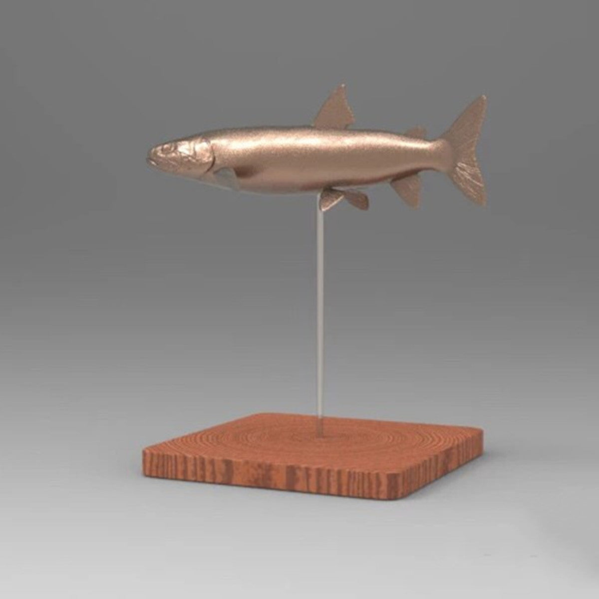 1/35 Hucho Taimen Unpainted Model