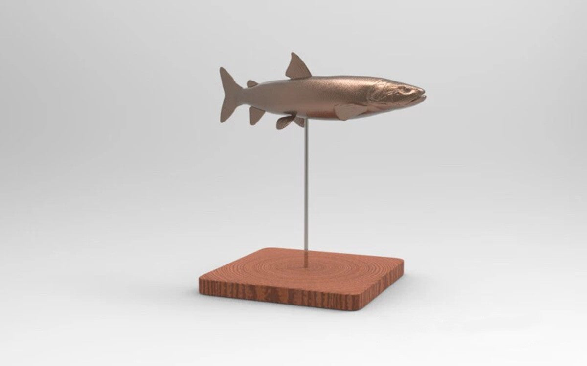 1/35 Hucho Taimen Unpainted Model