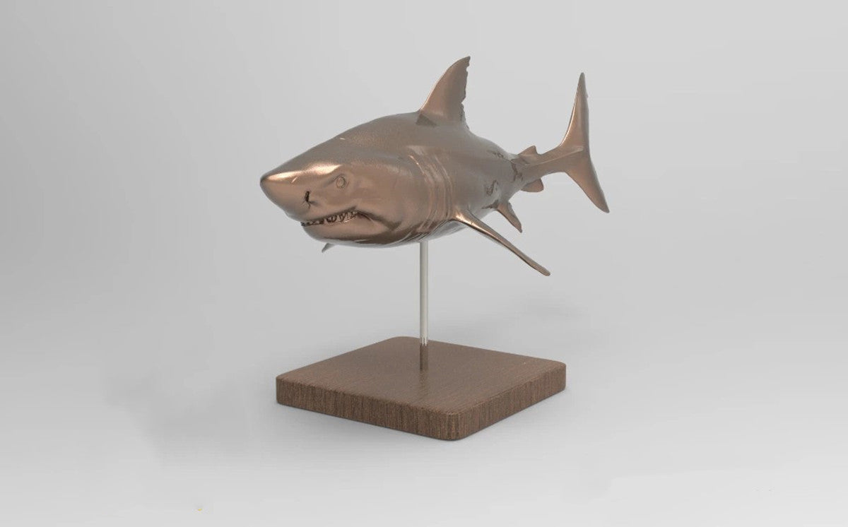 1/35 Otudus Auriculatus Shark Unpainted Model