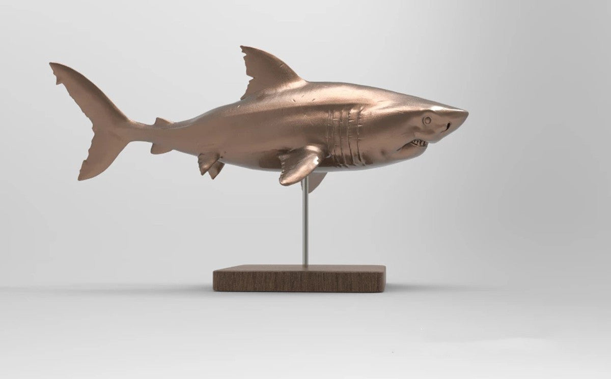 1/35 Otudus Auriculatus Shark Unpainted Model