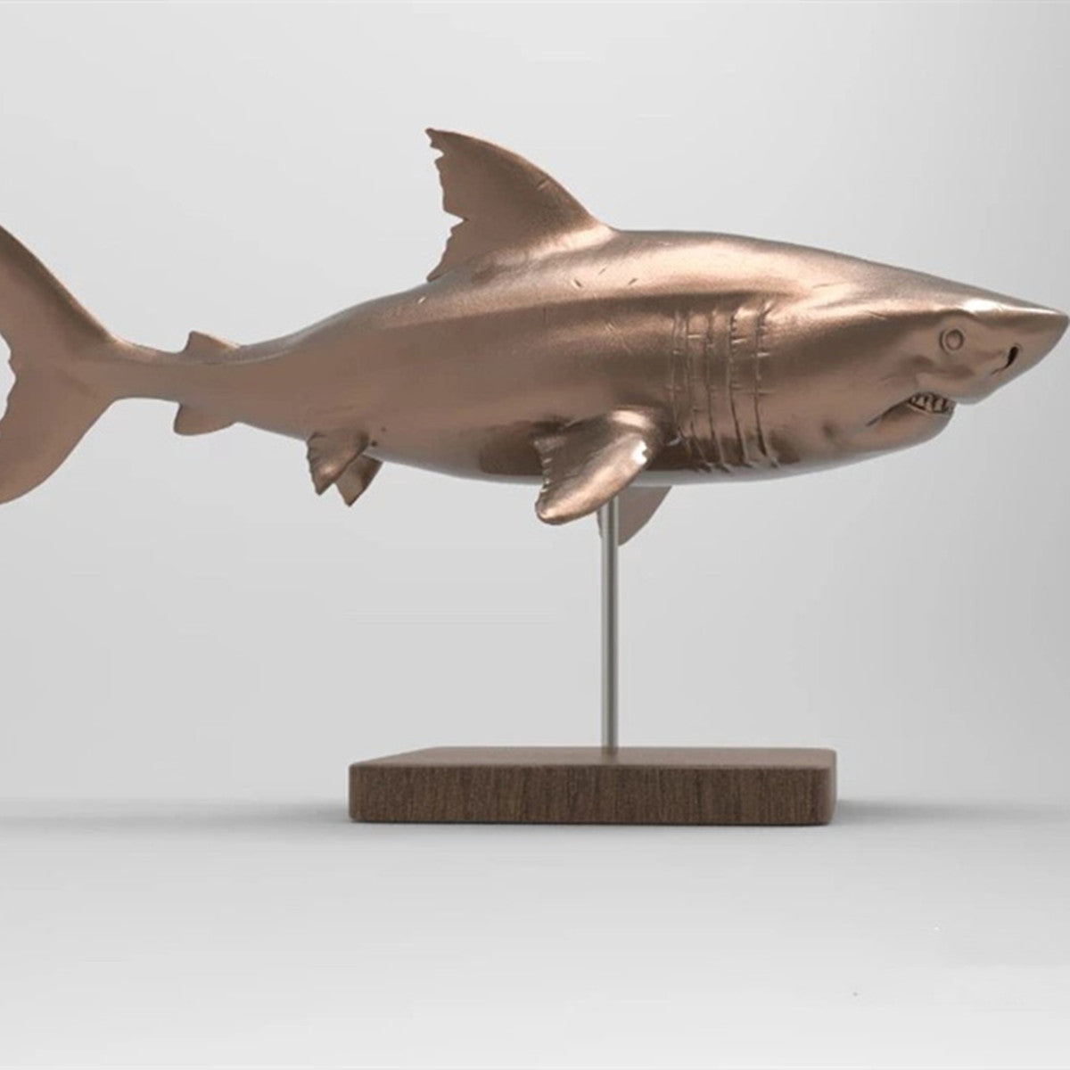 1/35 Otudus Auriculatus Shark Unpainted Model