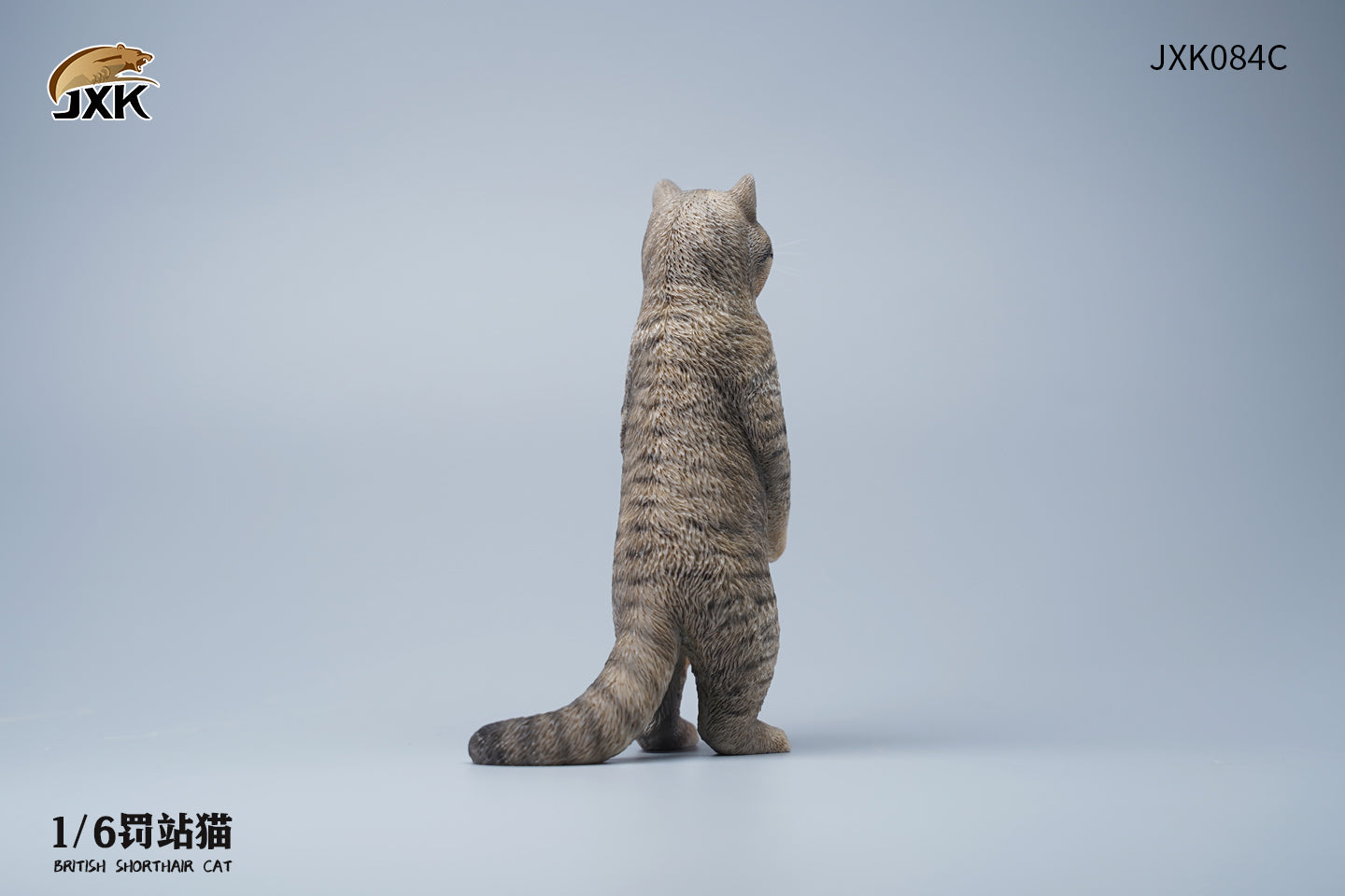 公式【1JINN STUDIO】 Cat Paw Round-neck Short Sleeve T 3色 JXK 1/6 Change Head Exoticshorthair Cat – Lana Time Shop