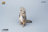 JXK 1/6 British Shorthair Cat