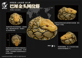 Animal Planet 09 Snake 2.0 Blind Box Model