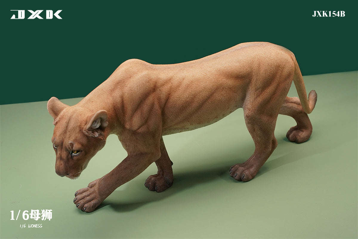 JXK 1/6 Lioness Model