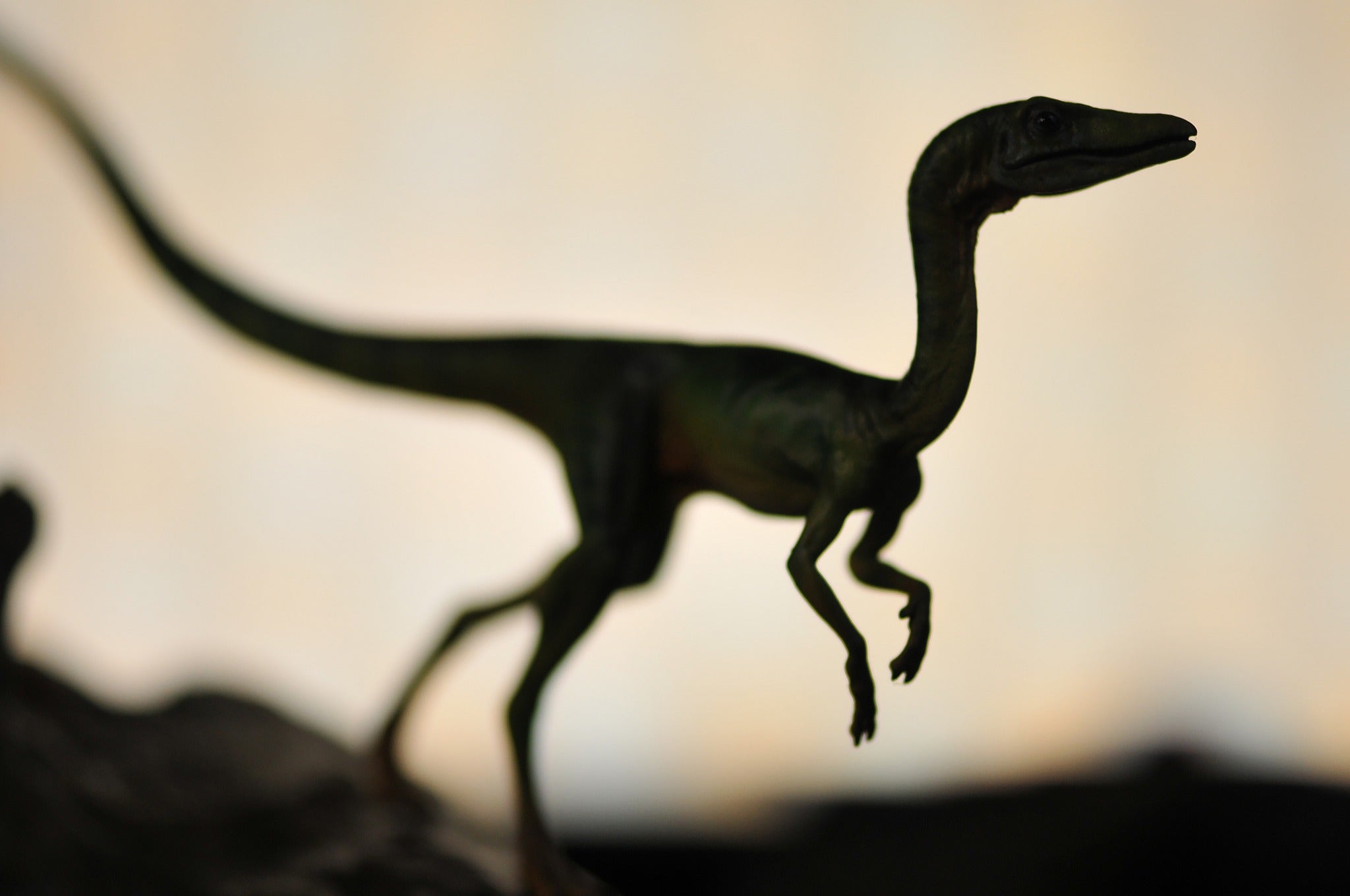 DINO DREAM 1/5 Scale Compsognathus Statue
