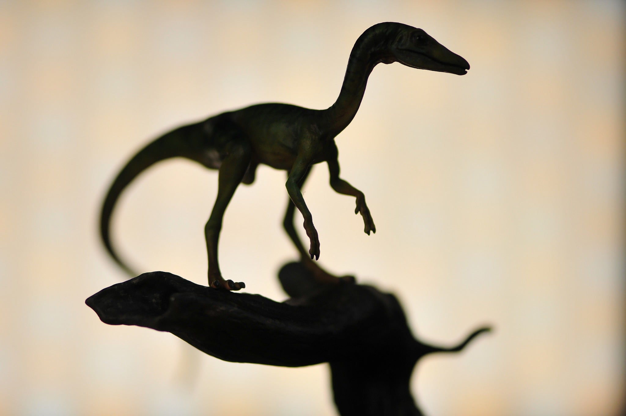 DINO DREAM 1/5 Scale Compsognathus Statue