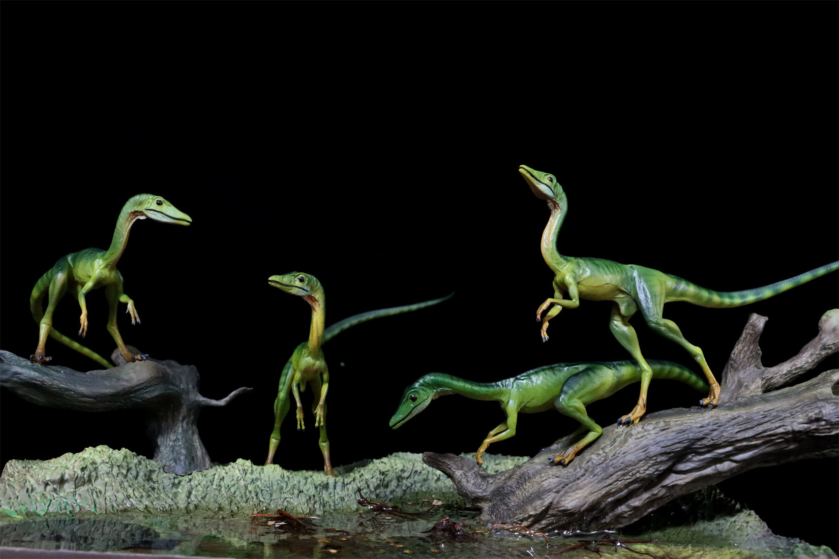 DINO DREAM 1/5 Scale Compsognathus Statue
