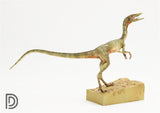 DINO DREAM 1/5 Female Compsognathus Statue