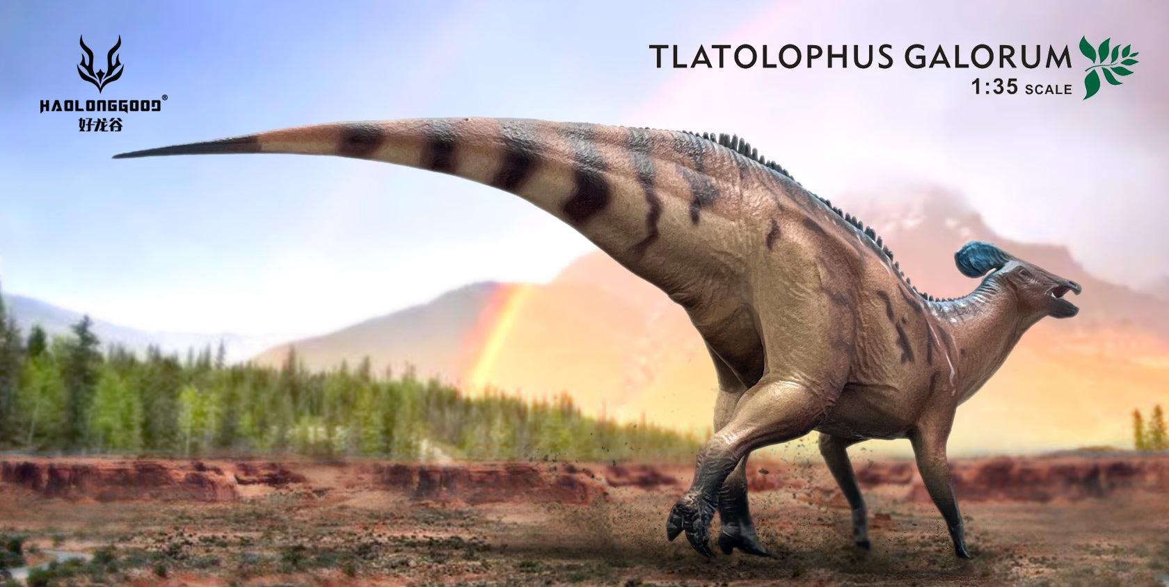 HAOLONGGOOD 1:35 Scale Tlatolophus galorum Model
