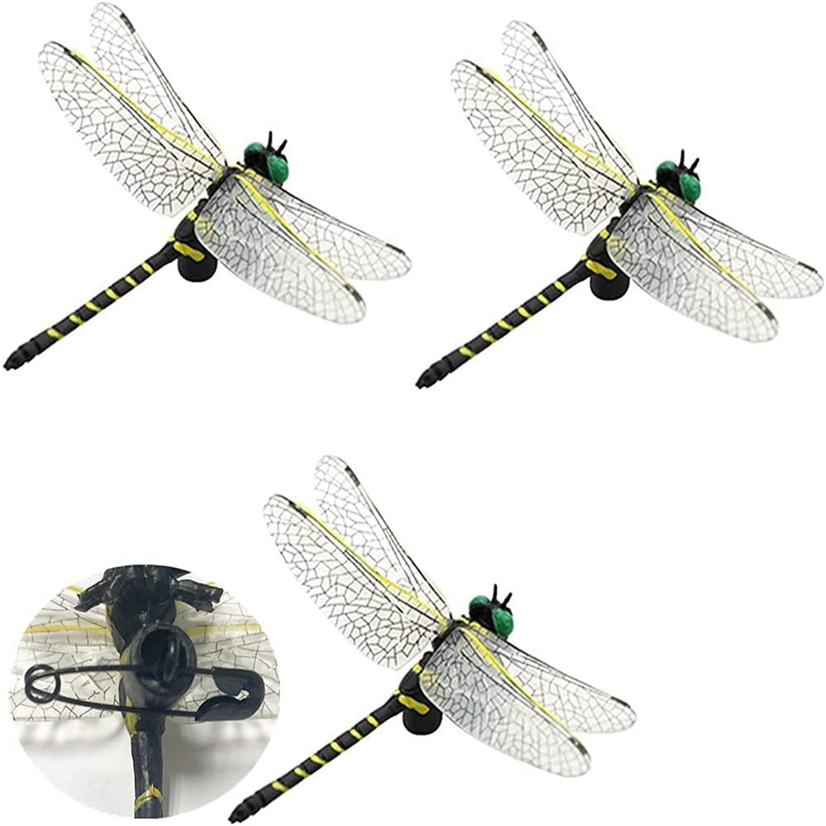 Anotogaster Dragonfly Model