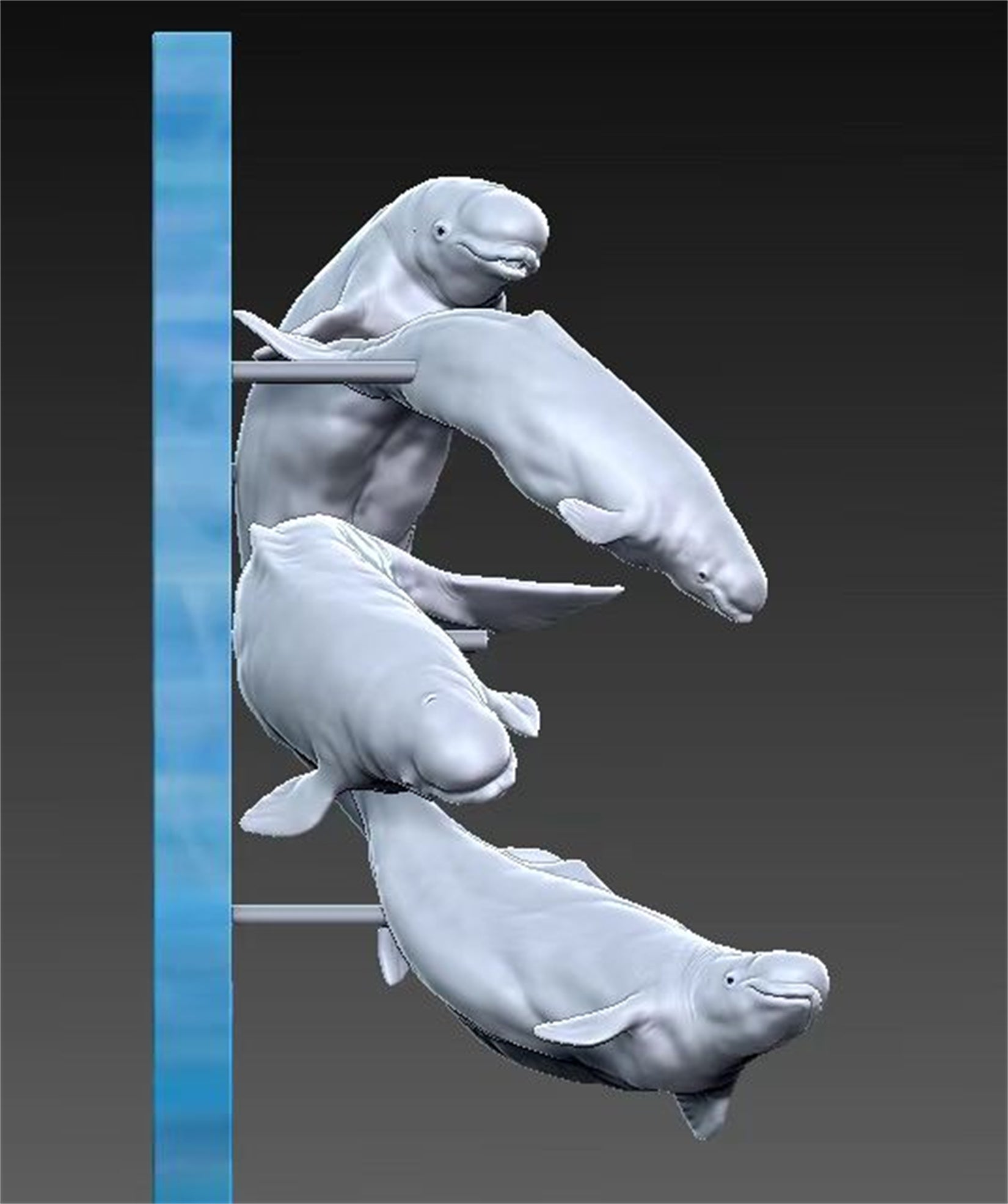 Sumeru Studio 1:10 Scale Beluga Whale Scene Model Kit