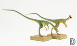 DINO DREAM 1/5 Male Set Compsognathus Statue